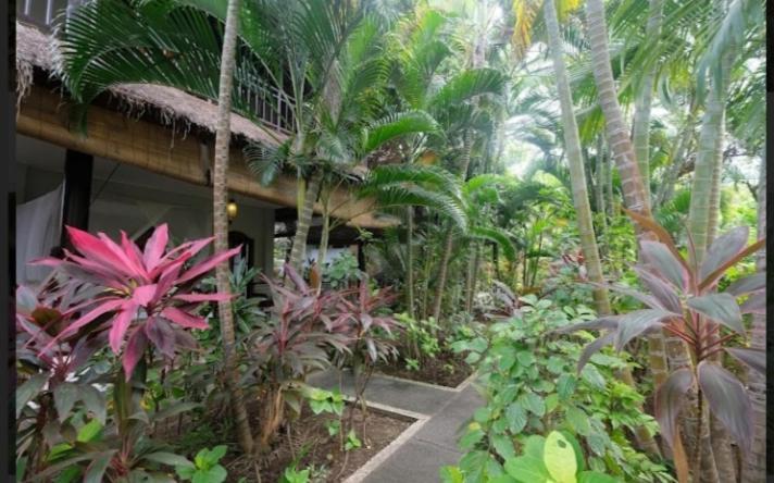 Apel Homestay Pemuteran Eksteriør bilde